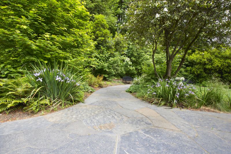 Walkway with Natural Stone